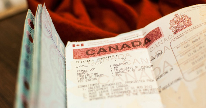Làm cách nào gia hạn Visa và Study Permit hết hạn tại Canada? 3 gia han visa va study permit 1